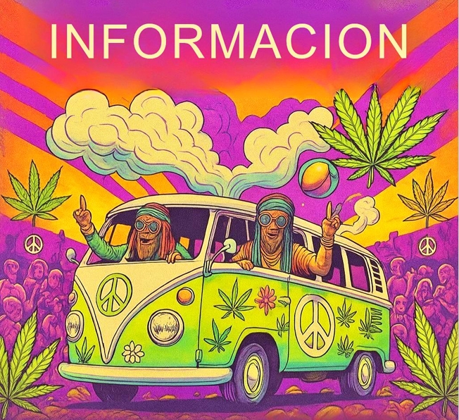 Captura de pantalla_4-5-2025_181625_