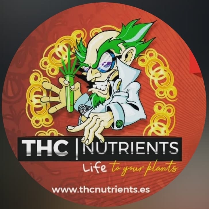 WhatsApp Image 2025-05-17 at 17.43.38